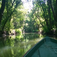Tisza -joen sivujoella luonto- ja linturetkellä.